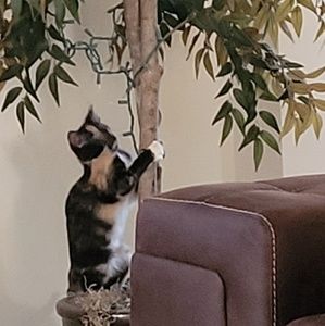 Meet your Posher, Rita